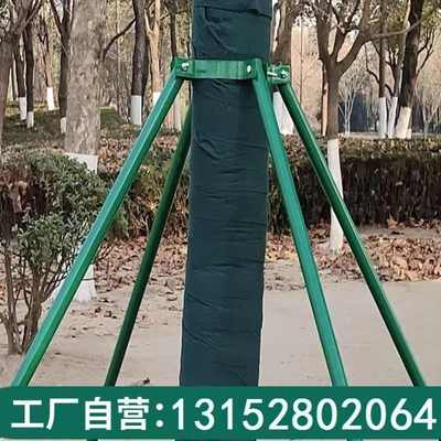 树木支撑固定器铁抱箍防风支撑杆绿化行道苗木支撑架镀锌烤漆钢管
