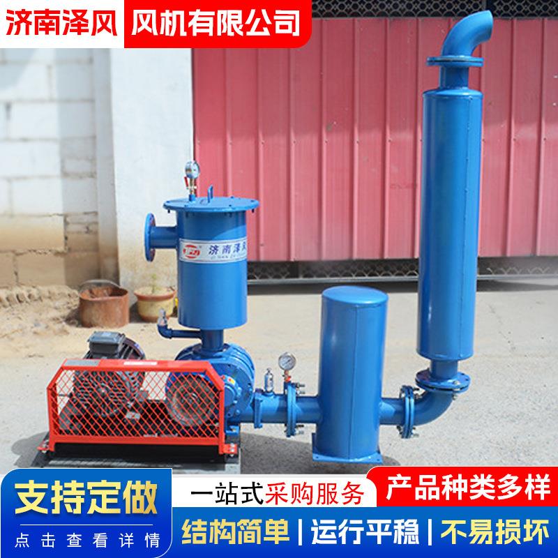 电动抽气真空泵罗茨鼓风机精密大吸力低噪音负压罗茨真空泵