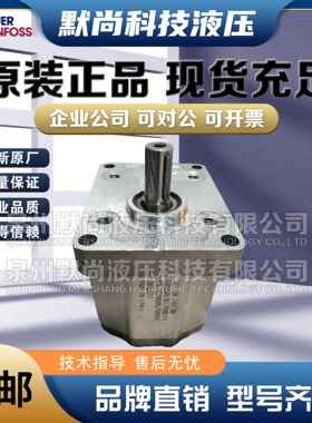 萨澳SAUER丹佛斯齿轮泵SNB3NN/022/026/033/038/044LN01液压油泵