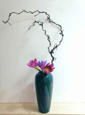 龙枣树枝装饰酒店龙爪枝插花花艺主枝天然弯曲造型摆设景观软装