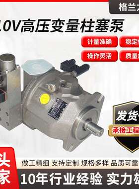 A10VSO10DR高压变量柱塞泵液压泵多种变量控制铸铁电动柱塞泵
