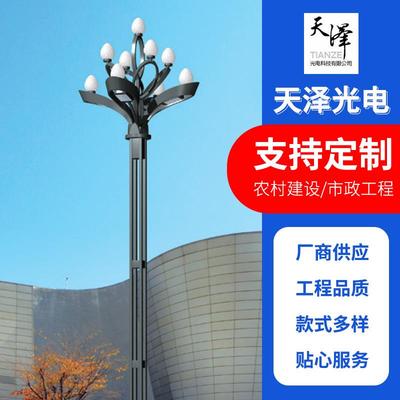 新款LED中华灯 广场园林道路中华灯 市政建设道路美化照明玉兰灯