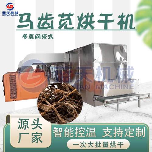 大型马齿苋烘干机网带式马齿苋菜干马齿草干燥机马齿菜烘干设备