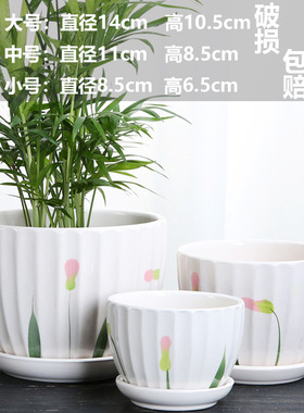 北欧陶瓷花盆简约客厅家用白色绿植虎皮兰蝴蝶兰仙人球大号兰花盆