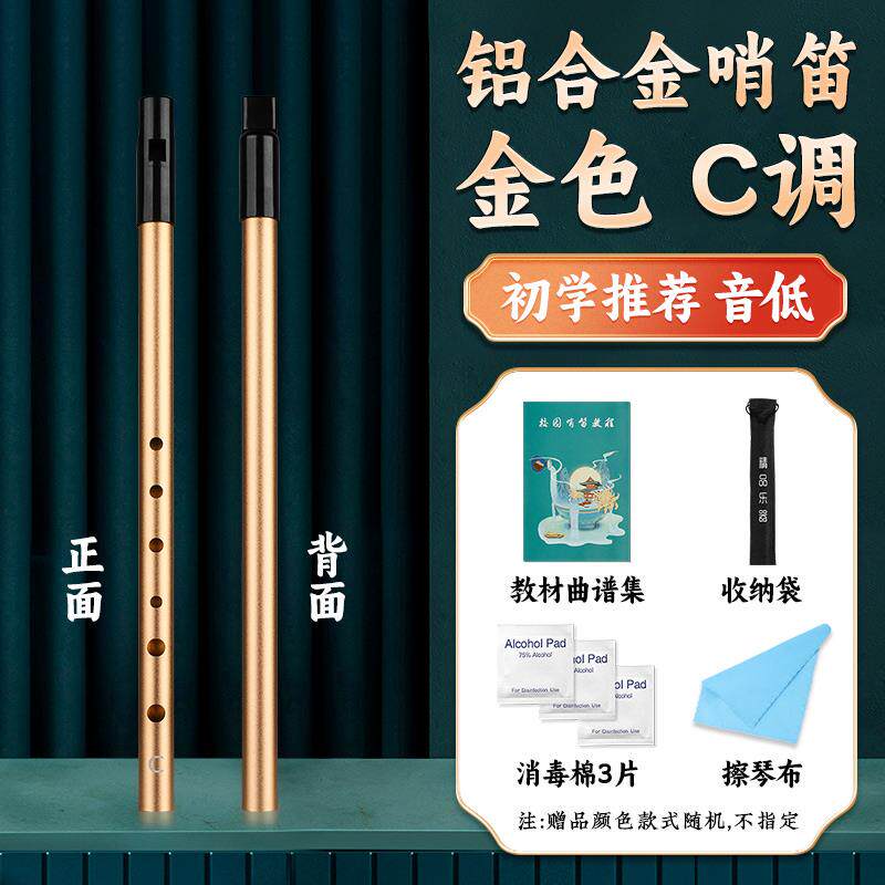 新款爱尔兰笛初学儿童C调D调专业演笛成人锡子笛6奏孔哨直笛直笛