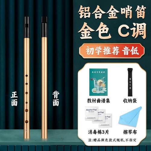 新款爱尔兰哨人笛初学儿童C调D调专业演奏笛子成锡6孔直笛直笛乐