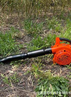 汽直销EV260油两吹吸用吹风机便B携式风力灭火吸SZS落叶鼓风机