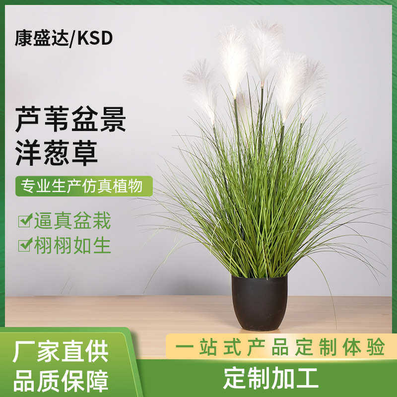 仿真盆栽植物芦苇盆景洋葱草仿真草假洋葱草芦苇草蒲草90/120CM