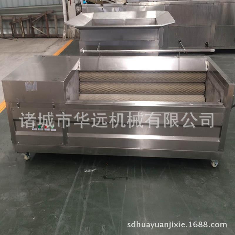 核桃清洗去皮设备不锈钢毛刷清洗机翻浪式全自动果蔬加工专用