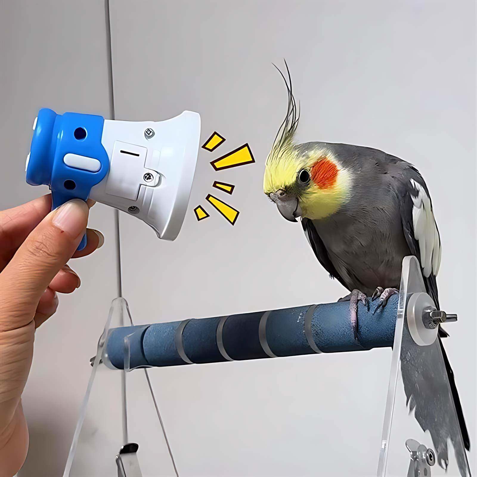 官方旗舰店正品鹦鹉学说话神器牡丹虎皮玄凤小太阳复读机小鸟解闷