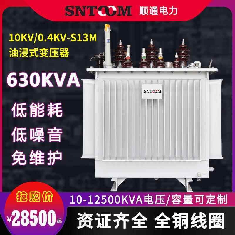 S13M大型工业油浸式电力配电变压器高压10KV250全铜315/63/630KVA