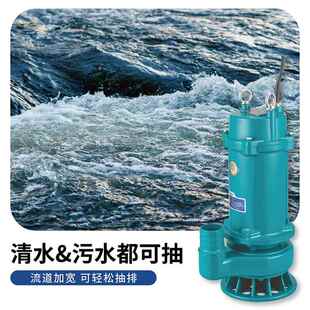11075手提污水泵用小型电动潜水泵抽污RMM家水坑排 污. 50WQT