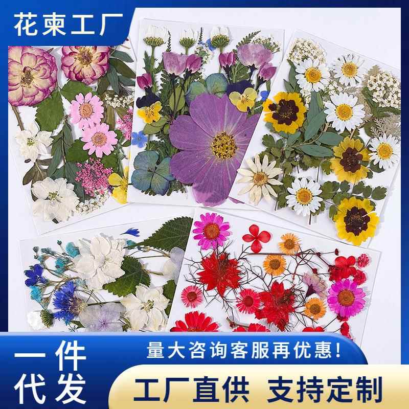 干花压花diy押花材料包滴胶干树叶真花混装干花花材植物标本合集