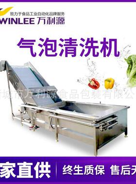 厂家直供高压水气泡清洗机果蔬清洗机各类食品包装袋清洗