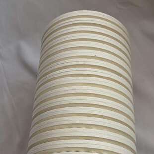 PA5600318 汇联瑞纳替代CJC滤油机滤芯