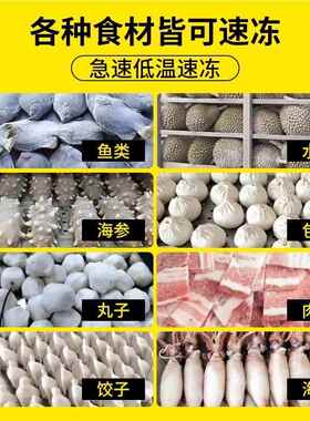 速冻冻柜用急风冷零下45度低温速冻冰柜海参商子包91207饺子插盘