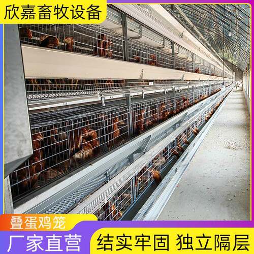 小层叠蛋鸡笼热镀锌立式鸡舍自动喂料捡蛋养鸡笼自动化养鸡设备