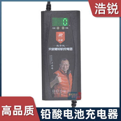 电动车48V60V72V天能铅酸电池数字显示百分比自动关机浩锐充电器