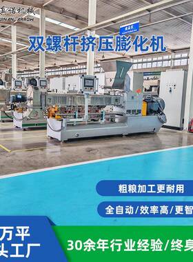 真诺双螺杆挤压设备制营养均衡黑豆营养粉SLT70H自动化生产线