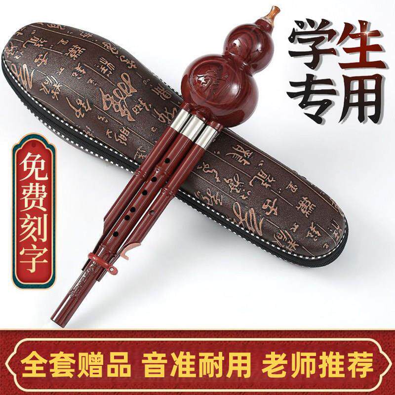 民族葫芦丝乐器小学生专用儿童C调降b调初学者入门演奏胡芦丝乐器