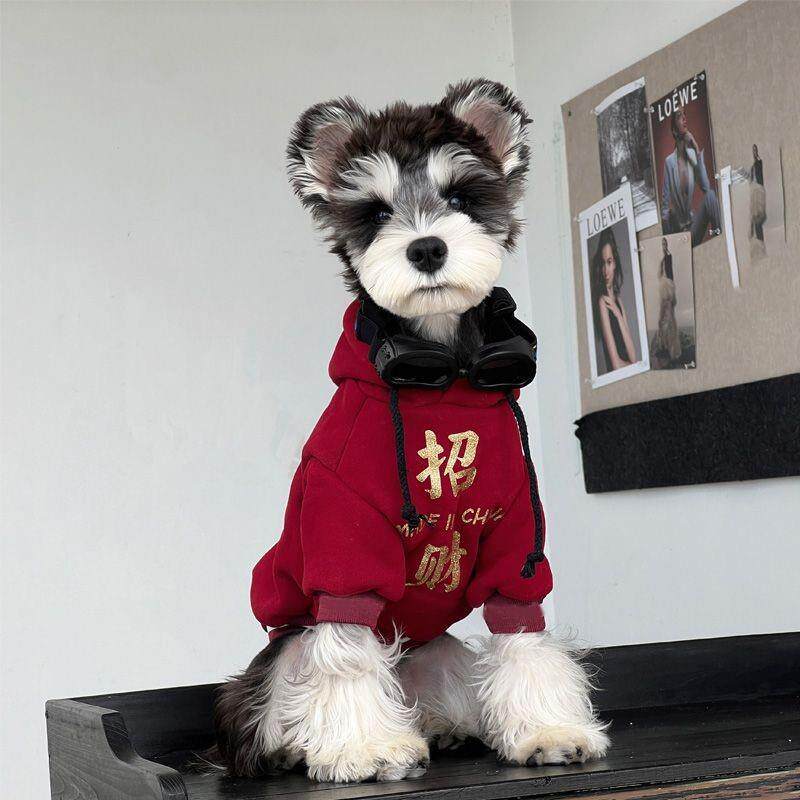 衣服狗狗冬装小型犬雪纳瑞泰迪博美过年保暖新年喜庆加绒加厚卫衣