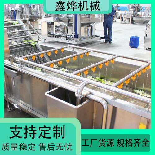 厨房蔬菜清洗机 净菜加工清洗流水线 蓝莓杨梅清洗线