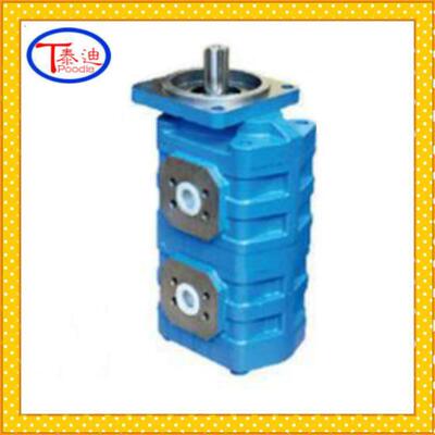 P3100B383AHTW12-328W12-1双联齿轮泵煤矿钻机双联泵