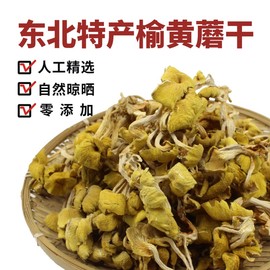 东北特产野生榆黄蘑干货，鸡油菌玉黄金，菇农长白山珍黄丝菌蘑菇煲汤