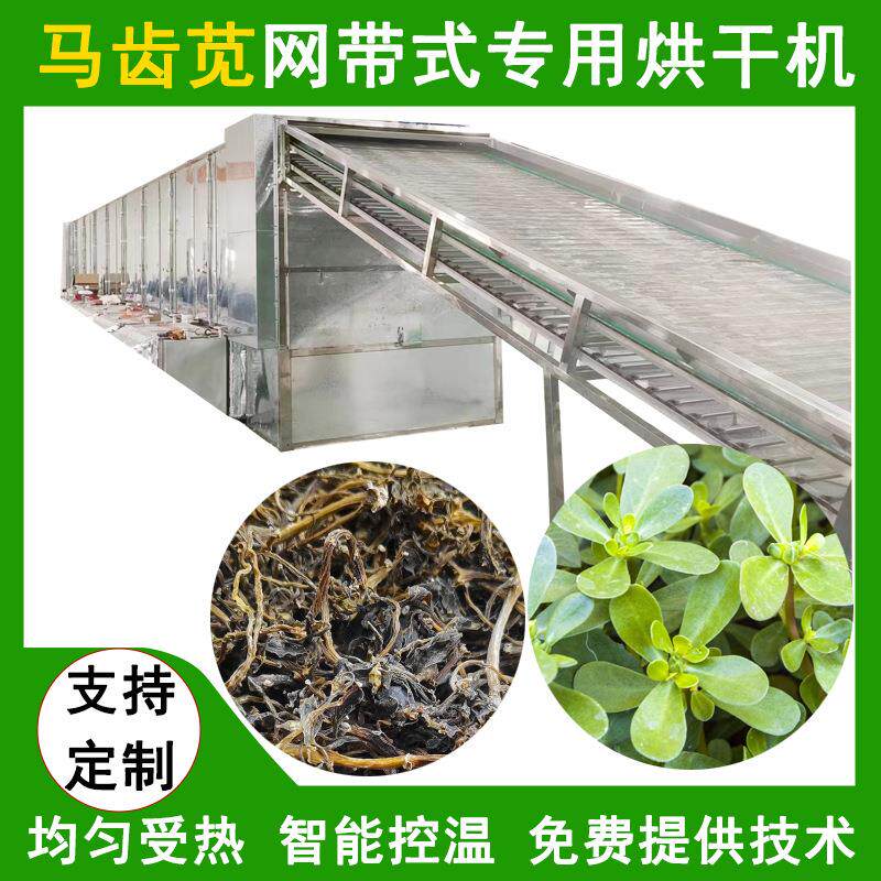 大型马齿苋烘干机网带式马齿苋菜干马齿草干燥机马齿菜烘干设备