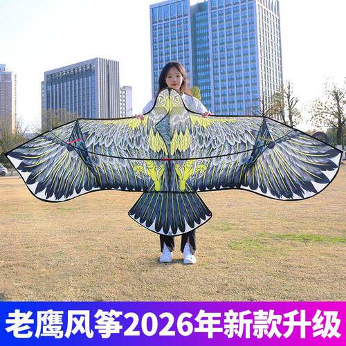 老鹰风筝摆摊成人微风易飞风筝轮子带线轮2026年新款儿童风筝
