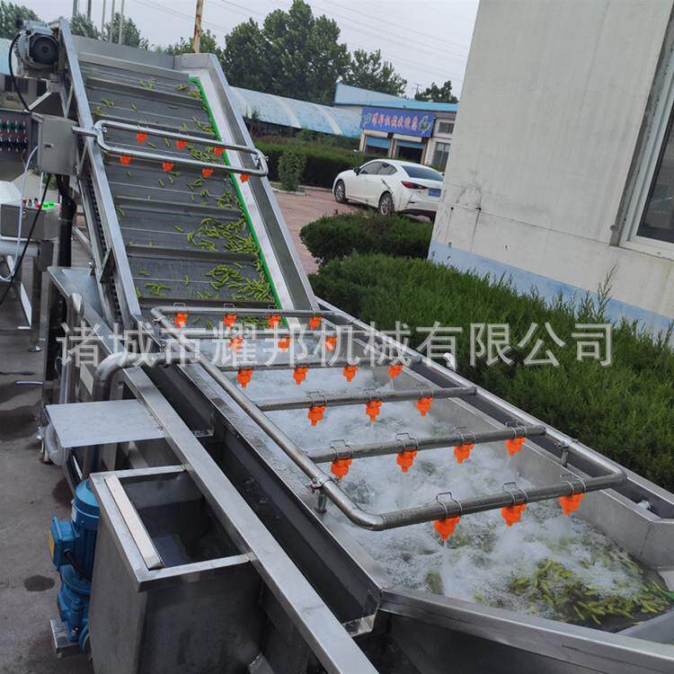 工毛豆风选清洗机 全套厂用毛豆清YMQ洗洗流水加工设线备 毛豆机