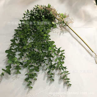 饰金钱叶吊藤塑胶假花绿植摄影 仿真植物尤加利壁挂婚庆路引家居装