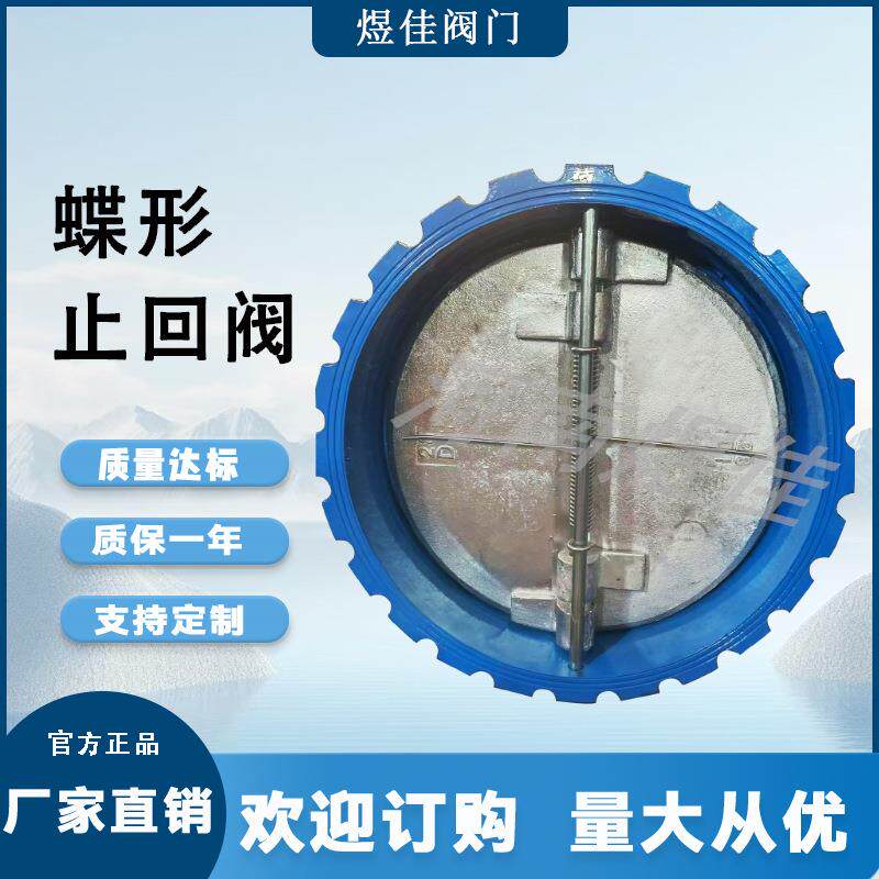 供应DH77X蝶式对夹止回阀球墨铸铁 逆止阀 双瓣蝶式对夹止回阀