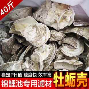 天然蚝壳牡蛎壳锦鲤鱼池鱼缸专用滤材过滤材料稳定PH值增加钙水质