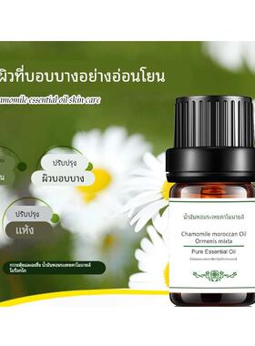 正品正品单方摩洛哥洋甘保菊精5ml 香油薰抗痘天然小瓶湿按敏摩感