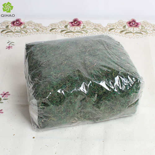 造景装饰仿真苔藓人造青苔 绿色插花干青植物盆栽 干苔藓仿真绿植