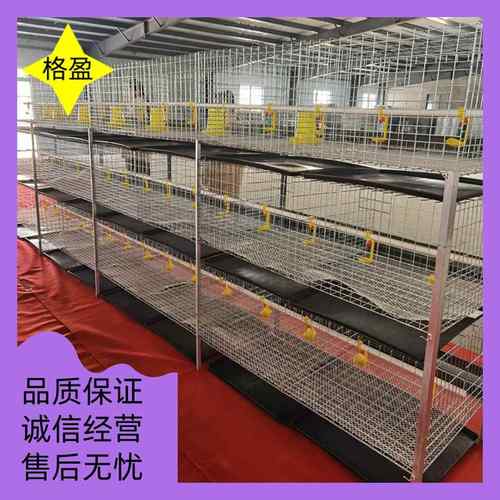 育雏鸡笼四层立体式小鸡笼高密度镀锌防锈防跑鸡养殖设备鸡舍