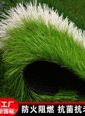 襄景人造草坪DJK50加筋运动足球草草仿真草坪足球场橄榄球场草假