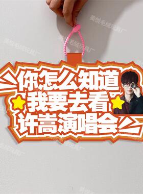 你怎么知道我要去看许嵩演唱会不织布包包挂件定制应援包包挂饰