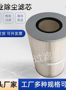 扫地车滤筒工业除尘滤芯六耳快拆滤筒喷砂抛除尘器静电喷涂阻燃