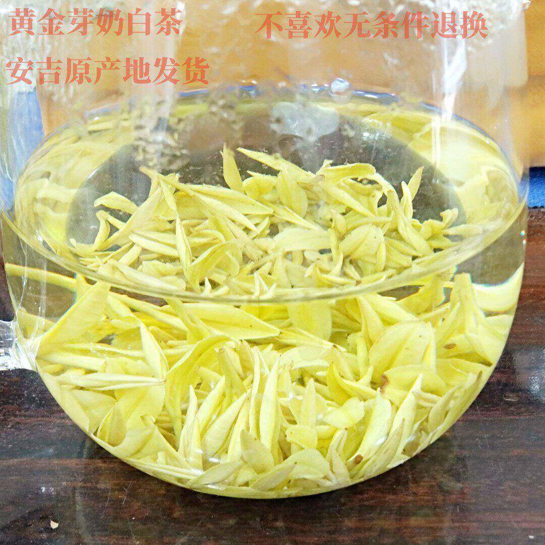 AAA2025年新茶精品明前茶黄金芽奶白茶50克安吉特产白茶原产地发