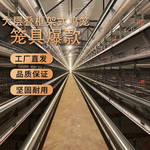 厂家育鸡笼养殖场大层叠框架式鸡笼自动化养殖鸡笼