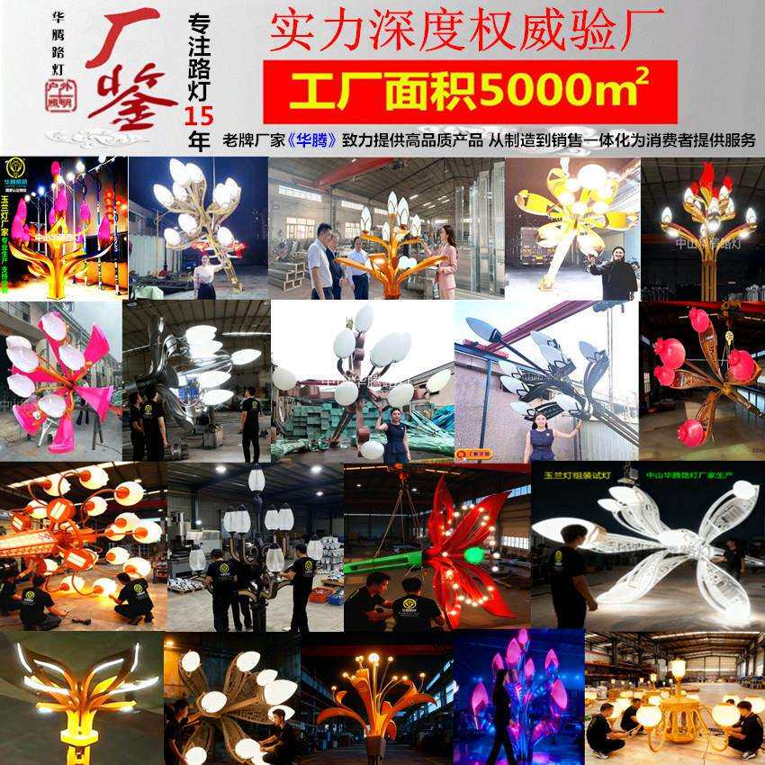 中华灯玉兰灯庭院灯路灯杆直杆户外亚克力灯罩高杆灯 led路灯灯头