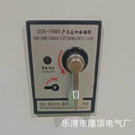 隆顶电气DSN-FMZDSN-FMYDSN-FBMYDSN-FBMZ反相电磁锁