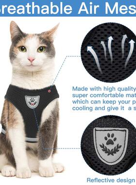 Breathable Cat Harness And Leash Escape Proof Pet Clothes Ki