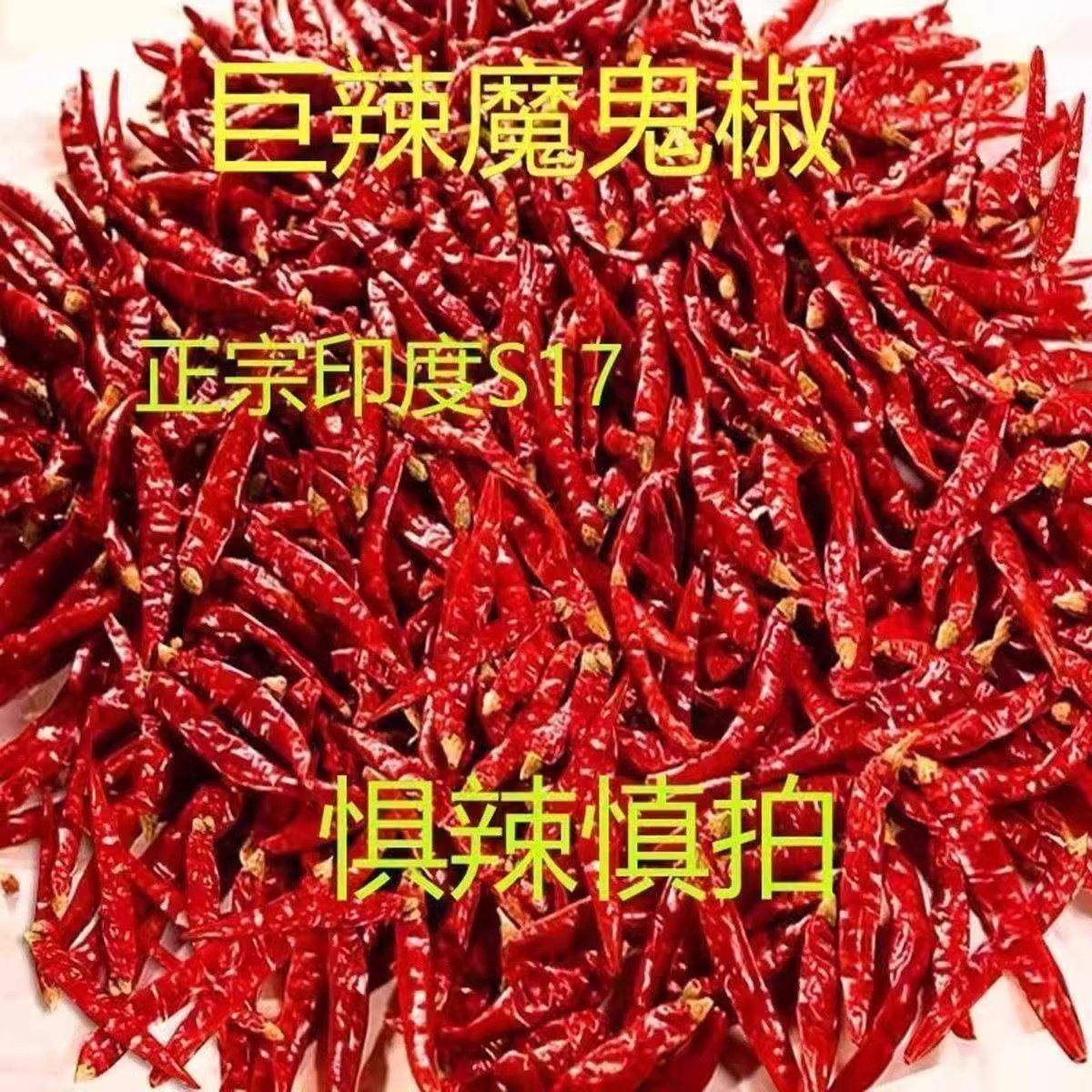 鬼椒面【巨辣S17】印度巨辣魔鬼辣椒特辣干辣椒段辣椒面粗粉细