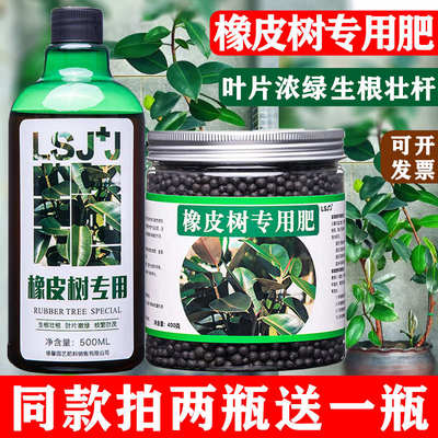 橡皮树肥料专用肥四季常青黑金刚橡皮树营养液室内室外盆栽有机肥