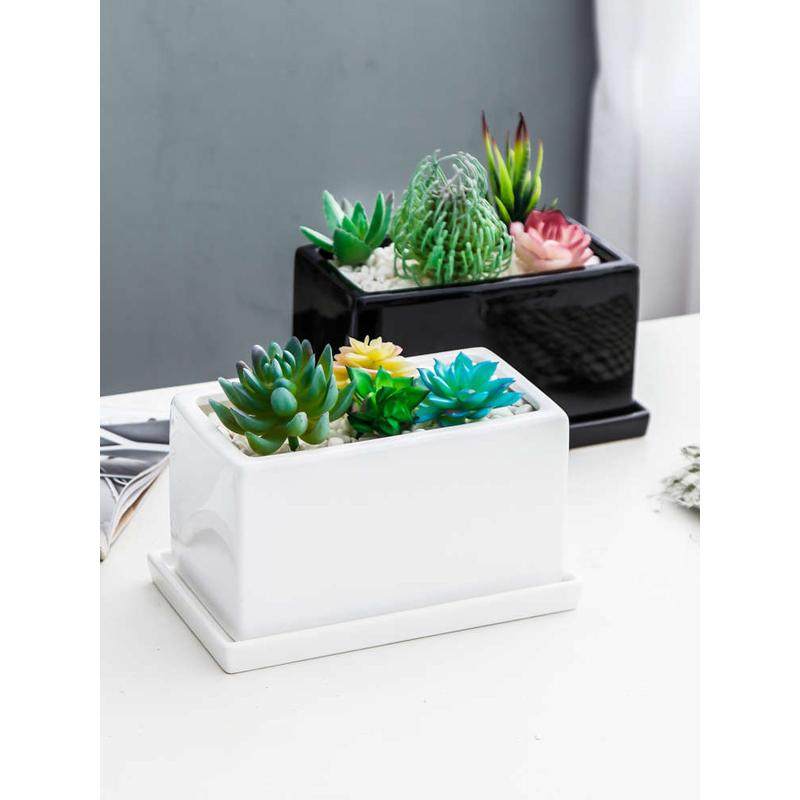 北欧简约多肉植物长方形陶瓷花盆带托盘黑白色室内外阳台桌面花器,鲜花速递/花卉仿真/绿植园艺,花盆,淘宝优惠券,粉丝福利购,淘宝优惠卷