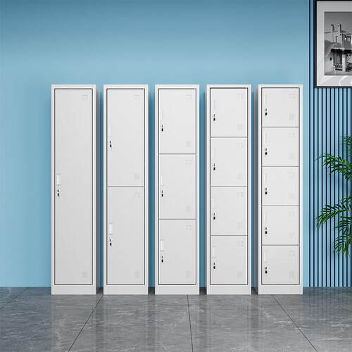 单门更衣柜铁皮柜宿舍带锁员工收纳柜钢制柜更衣箱简易办公室衣柜