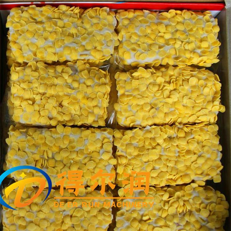畅销鳕鱼排裹粉机 山东得尔润机械 罗非鱼排上粉设备 价格优惠图片